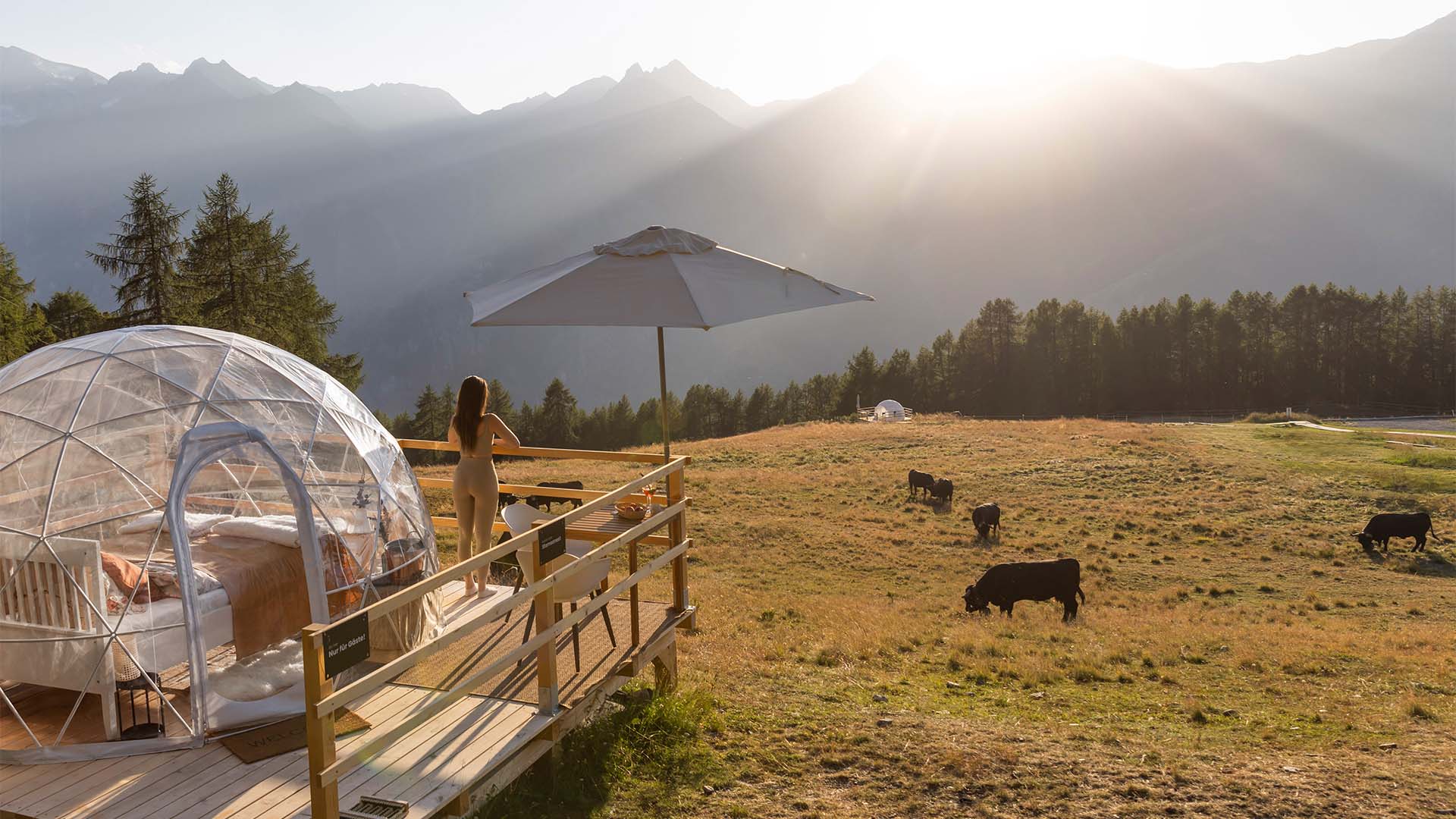 Bubble Übernachtung in der Sternengucker Suite für 2 (1 Nacht) in Wallis in Grächen Unkategorisiert online kaufen